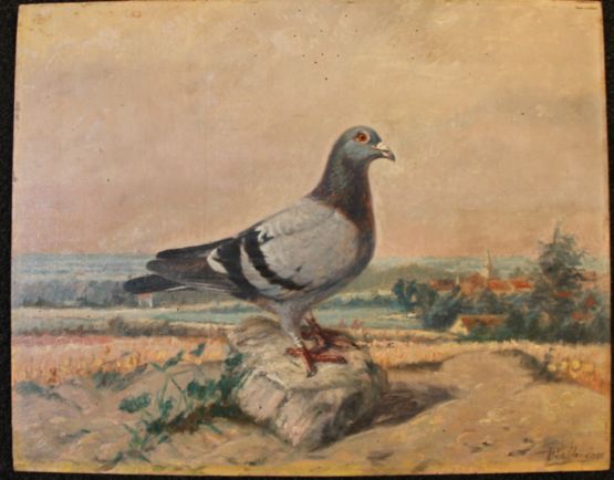Картина с изображением голубя, Балдауф. 1923 г.